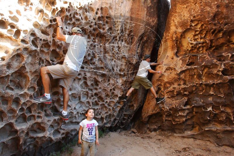 

Filename: SRM_20170618_0949260.jpg
Aperture: f/6.3
Shutter Speed: 1/80
Body: Canon EOS-1D Mark II
Lens: Canon EF 16-35mm f/2.8 L