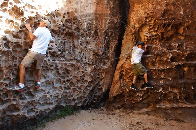 

Filename: SRM_20170618_0949340.jpg
Aperture: f/6.3
Shutter Speed: 1/100
Body: Canon EOS-1D Mark II
Lens: Canon EF 16-35mm f/2.8 L