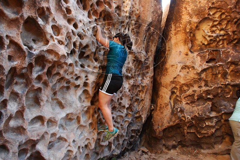 

Filename: SRM_20170618_0951030.jpg
Aperture: f/6.3
Shutter Speed: 1/60
Body: Canon EOS-1D Mark II
Lens: Canon EF 16-35mm f/2.8 L