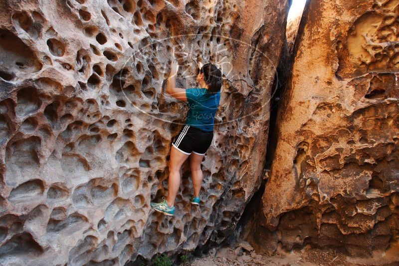 

Filename: SRM_20170618_0951091.jpg
Aperture: f/6.3
Shutter Speed: 1/60
Body: Canon EOS-1D Mark II
Lens: Canon EF 16-35mm f/2.8 L