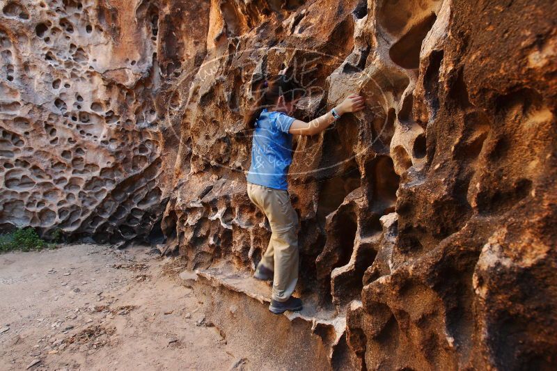 

Filename: SRM_20170618_0958500.jpg
Aperture: f/6.3
Shutter Speed: 1/60
Body: Canon EOS-1D Mark II
Lens: Canon EF 16-35mm f/2.8 L
