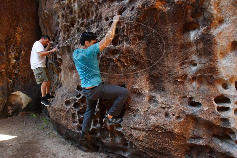 

Filename: SRM_20170618_1001431.jpg
Aperture: f/6.3
Shutter Speed: 1/60
Body: Canon EOS-1D Mark II
Lens: Canon EF 16-35mm f/2.8 L