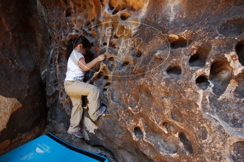 

Filename: SRM_20170618_1004380.jpg
Aperture: f/6.3
Shutter Speed: 1/50
Body: Canon EOS-1D Mark II
Lens: Canon EF 16-35mm f/2.8 L