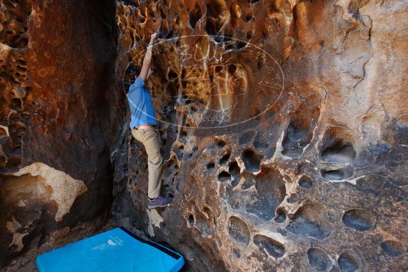 

Filename: SRM_20170618_1007050.jpg
Aperture: f/5.6
Shutter Speed: 1/80
Body: Canon EOS-1D Mark II
Lens: Canon EF 16-35mm f/2.8 L