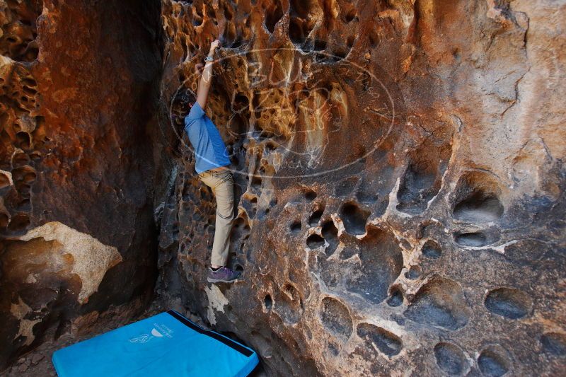 

Filename: SRM_20170618_1007060.jpg
Aperture: f/5.6
Shutter Speed: 1/80
Body: Canon EOS-1D Mark II
Lens: Canon EF 16-35mm f/2.8 L