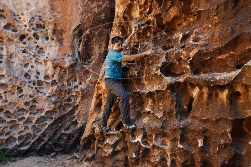 

Filename: SRM_20170618_1023580.jpg
Aperture: f/5.6
Shutter Speed: 1/80
Body: Canon EOS-1D Mark II
Lens: Canon EF 16-35mm f/2.8 L