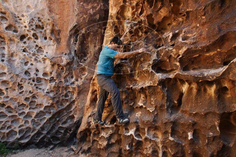 

Filename: SRM_20170618_1024000.jpg
Aperture: f/5.6
Shutter Speed: 1/80
Body: Canon EOS-1D Mark II
Lens: Canon EF 16-35mm f/2.8 L