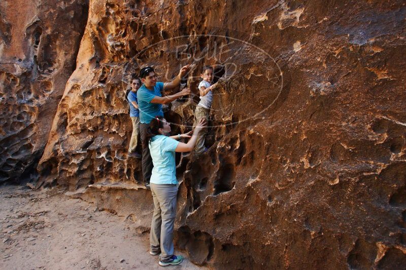 

Filename: SRM_20170618_1026141.jpg
Aperture: f/5.6
Shutter Speed: 1/100
Body: Canon EOS-1D Mark II
Lens: Canon EF 16-35mm f/2.8 L