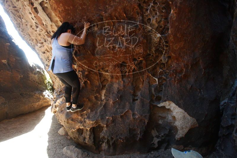 

Filename: SRM_20170618_1027340.jpg
Aperture: f/5.6
Shutter Speed: 1/125
Body: Canon EOS-1D Mark II
Lens: Canon EF 16-35mm f/2.8 L