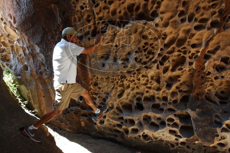 

Filename: SRM_20170618_1037420.jpg
Aperture: f/5.6
Shutter Speed: 1/320
Body: Canon EOS-1D Mark II
Lens: Canon EF 16-35mm f/2.8 L