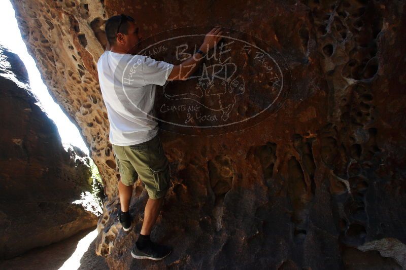 

Filename: SRM_20170618_1041210.jpg
Aperture: f/5.6
Shutter Speed: 1/250
Body: Canon EOS-1D Mark II
Lens: Canon EF 16-35mm f/2.8 L