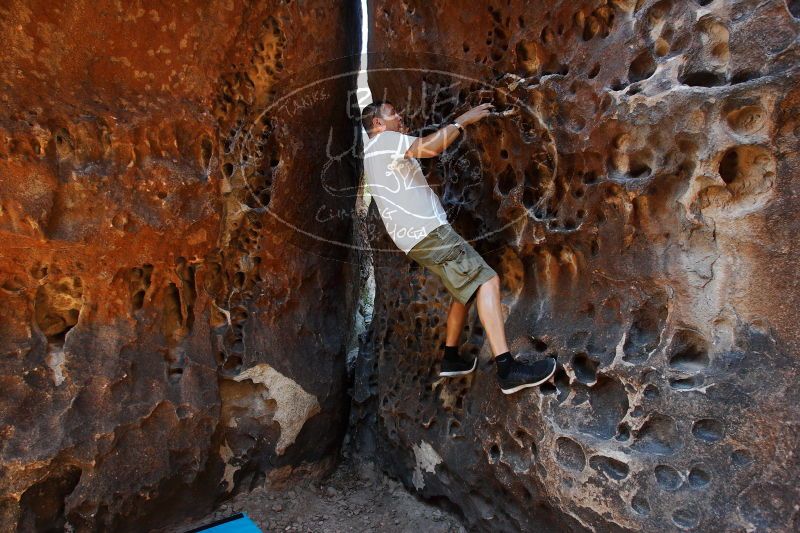 

Filename: SRM_20170618_1041470.jpg
Aperture: f/5.6
Shutter Speed: 1/100
Body: Canon EOS-1D Mark II
Lens: Canon EF 16-35mm f/2.8 L