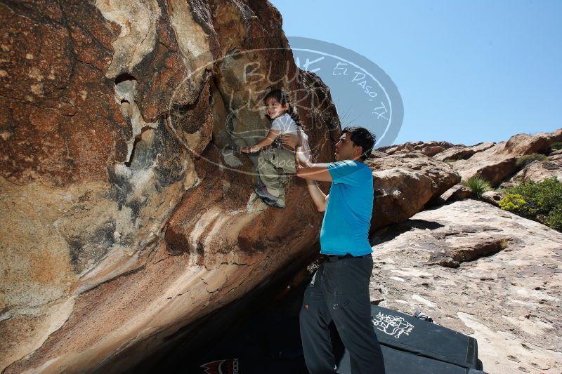 

Filename: SRM_20170618_1355200.jpg
Aperture: f/8.0
Shutter Speed: 1/250
Body: Canon EOS-1D Mark II
Lens: Canon EF 16-35mm f/2.8 L