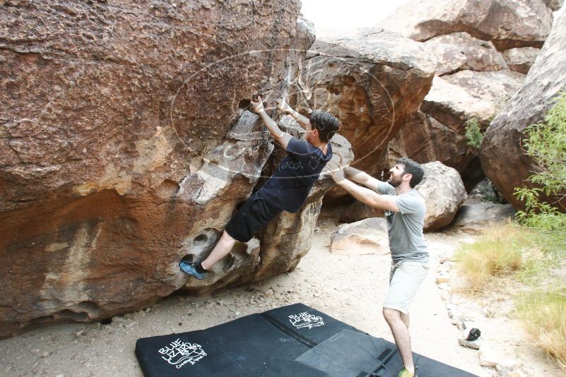 

Filename: SRM_20170625_1424510.jpg
Aperture: f/8.0
Shutter Speed: 1/80
Body: Canon EOS-1D Mark II
Lens: Canon EF 16-35mm f/2.8 L