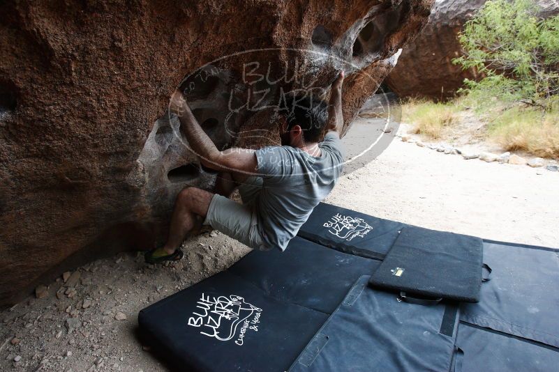 

Filename: SRM_20170625_1443561.jpg
Aperture: f/5.6
Shutter Speed: 1/250
Body: Canon EOS-1D Mark II
Lens: Canon EF 16-35mm f/2.8 L