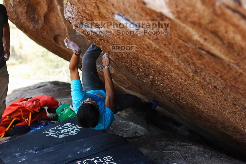 

Filename: SRM_20170703_1220031.jpg
Aperture: f/2.8
Shutter Speed: 1/320
Body: Canon EOS-1D Mark II
Lens: Canon EF 85mm f/1.2 L II