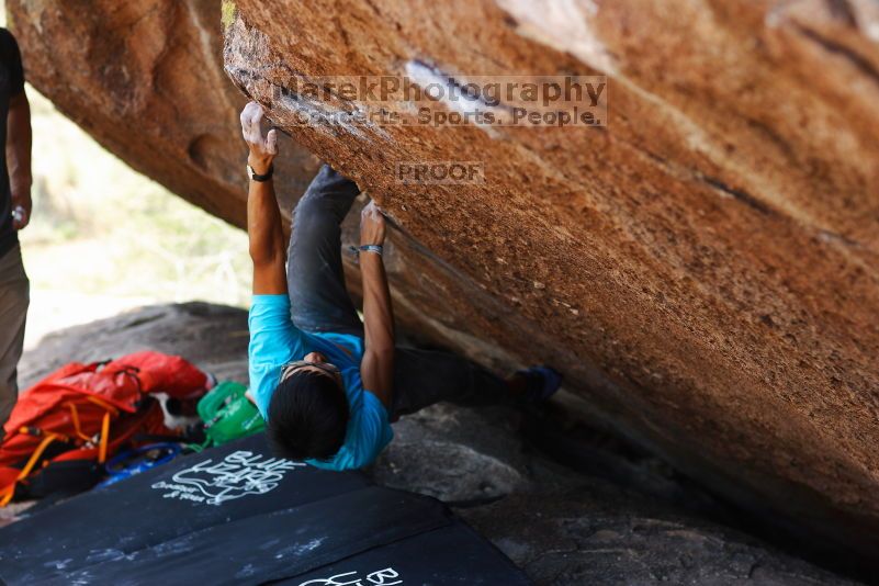 

Filename: SRM_20170703_1220041.jpg
Aperture: f/2.8
Shutter Speed: 1/320
Body: Canon EOS-1D Mark II
Lens: Canon EF 85mm f/1.2 L II