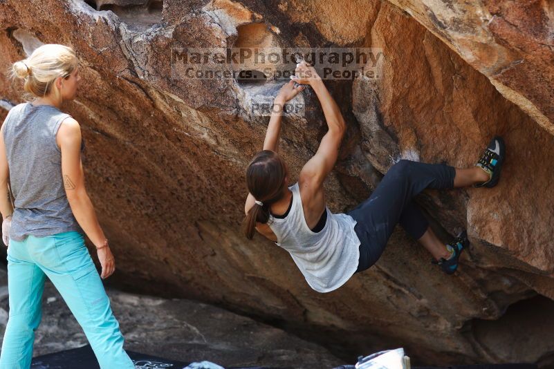 

Filename: SRM_20170703_1222351.jpg
Aperture: f/2.8
Shutter Speed: 1/500
Body: Canon EOS-1D Mark II
Lens: Canon EF 85mm f/1.2 L II