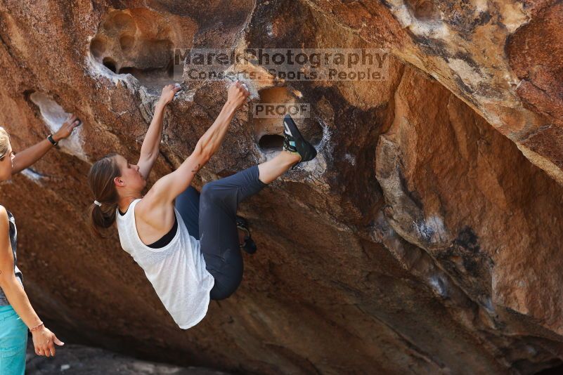 

Filename: SRM_20170703_1222460.jpg
Aperture: f/2.8
Shutter Speed: 1/640
Body: Canon EOS-1D Mark II
Lens: Canon EF 85mm f/1.2 L II