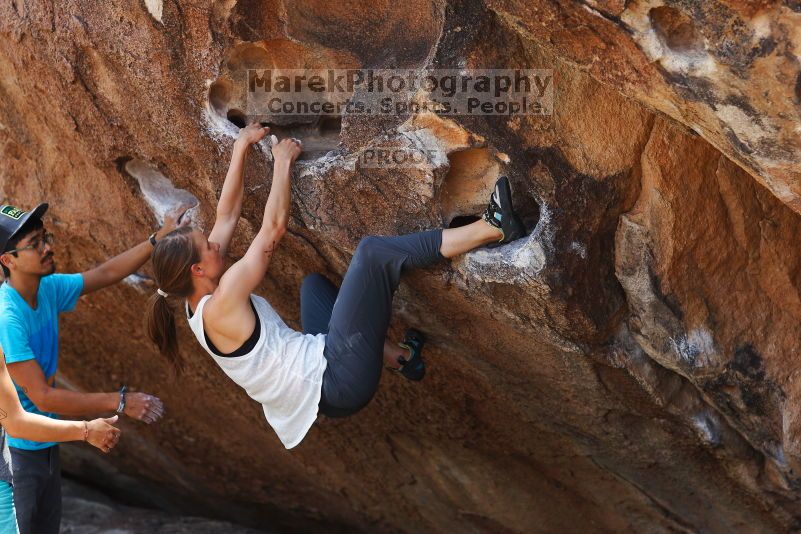 

Filename: SRM_20170703_1222490.jpg
Aperture: f/2.8
Shutter Speed: 1/640
Body: Canon EOS-1D Mark II
Lens: Canon EF 85mm f/1.2 L II