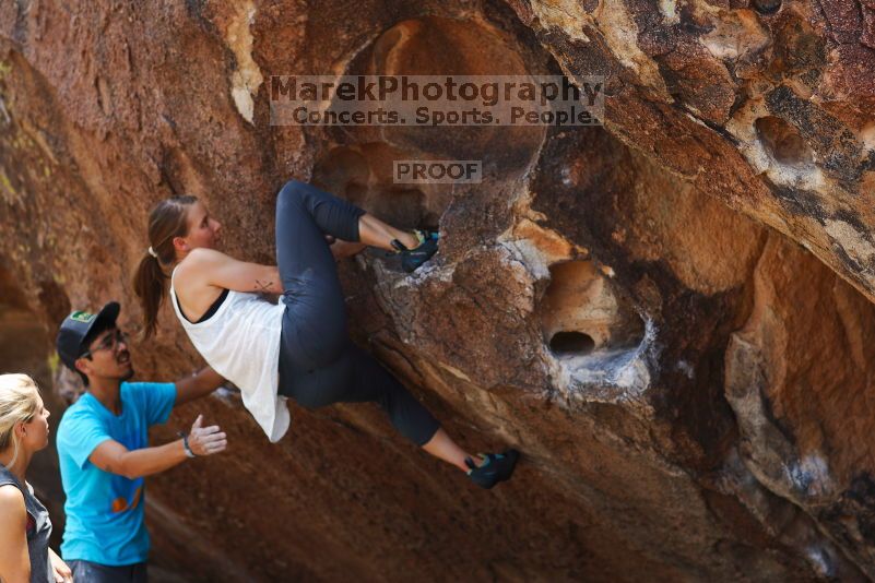 

Filename: SRM_20170703_1222540.jpg
Aperture: f/2.8
Shutter Speed: 1/800
Body: Canon EOS-1D Mark II
Lens: Canon EF 85mm f/1.2 L II