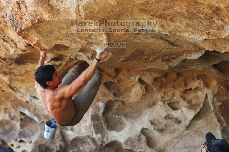 

Filename: SRM_20170703_1319320.jpg
Aperture: f/2.8
Shutter Speed: 1/250
Body: Canon EOS-1D Mark II
Lens: Canon EF 85mm f/1.2 L II