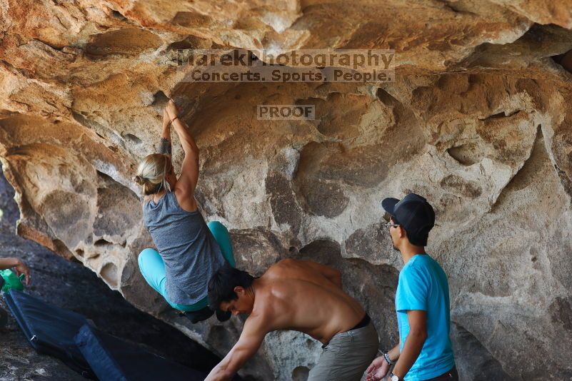 

Filename: SRM_20170703_1323030.jpg
Aperture: f/2.8
Shutter Speed: 1/250
Body: Canon EOS-1D Mark II
Lens: Canon EF 85mm f/1.2 L II