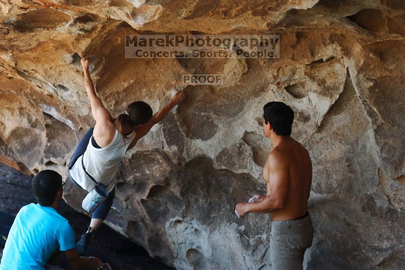 

Filename: SRM_20170703_1341480.jpg
Aperture: f/2.8
Shutter Speed: 1/320
Body: Canon EOS-1D Mark II
Lens: Canon EF 85mm f/1.2 L II