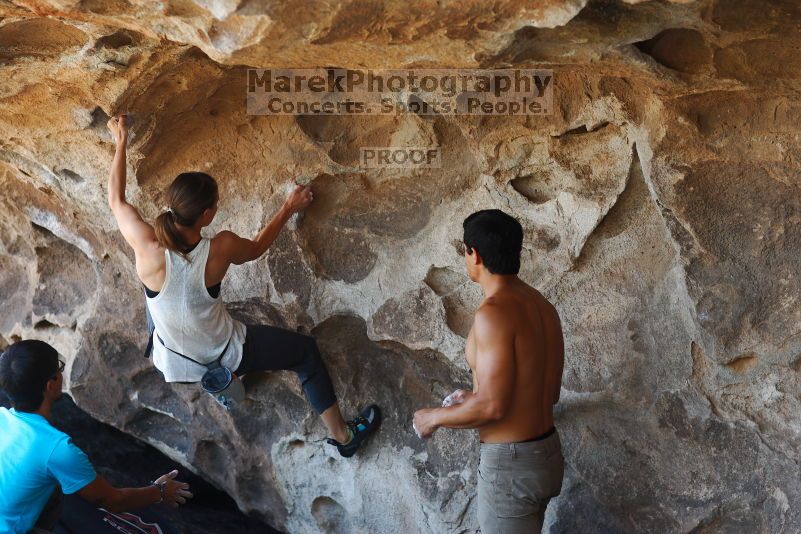 

Filename: SRM_20170703_1341490.jpg
Aperture: f/2.8
Shutter Speed: 1/250
Body: Canon EOS-1D Mark II
Lens: Canon EF 85mm f/1.2 L II