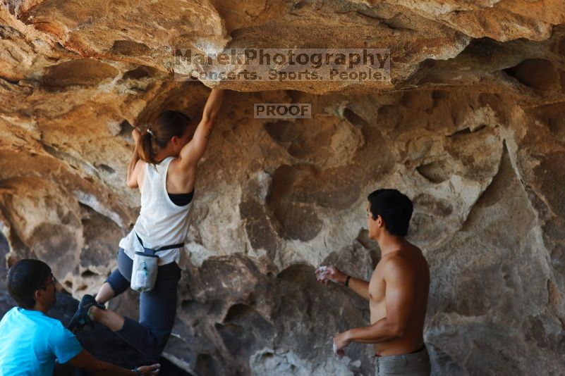 

Filename: SRM_20170703_1342042.jpg
Aperture: f/2.8
Shutter Speed: 1/320
Body: Canon EOS-1D Mark II
Lens: Canon EF 85mm f/1.2 L II