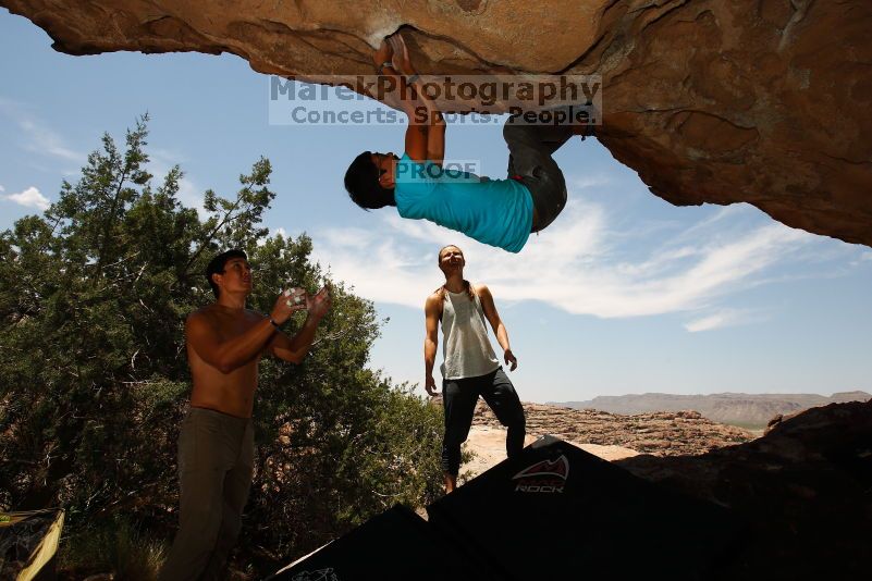 

Filename: SRM_20170703_1401170.jpg
Aperture: f/9.0
Shutter Speed: 1/250
Body: Canon EOS-1D Mark II
Lens: Canon EF 16-35mm f/2.8 L