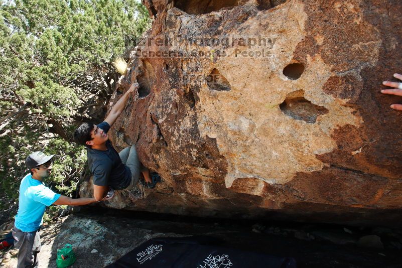 

Filename: SRM_20170703_1429300.jpg
Aperture: f/5.6
Shutter Speed: 1/640
Body: Canon EOS-1D Mark II
Lens: Canon EF 16-35mm f/2.8 L