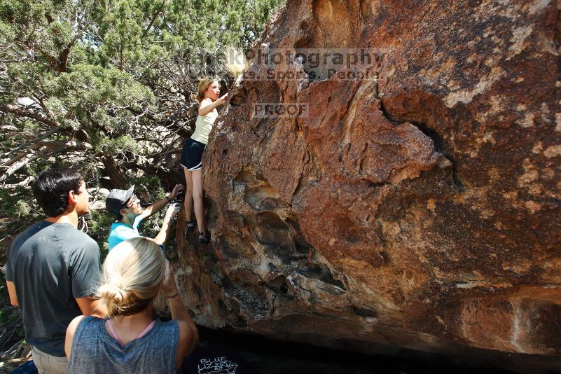 

Filename: SRM_20170703_1432200.jpg
Aperture: f/6.3
Shutter Speed: 1/500
Body: Canon EOS-1D Mark II
Lens: Canon EF 16-35mm f/2.8 L