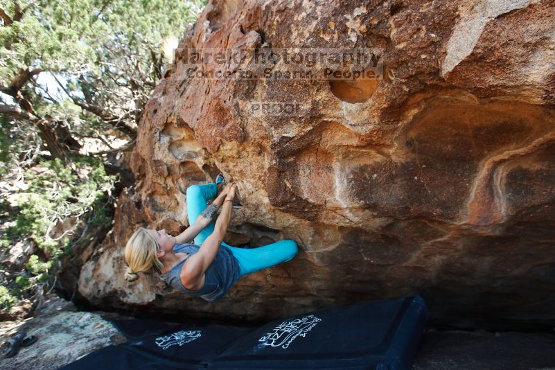 

Filename: SRM_20170703_1438250.jpg
Aperture: f/5.6
Shutter Speed: 1/320
Body: Canon EOS-1D Mark II
Lens: Canon EF 16-35mm f/2.8 L