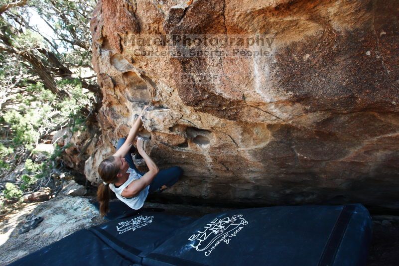 

Filename: SRM_20170703_1442340.jpg
Aperture: f/5.6
Shutter Speed: 1/250
Body: Canon EOS-1D Mark II
Lens: Canon EF 16-35mm f/2.8 L