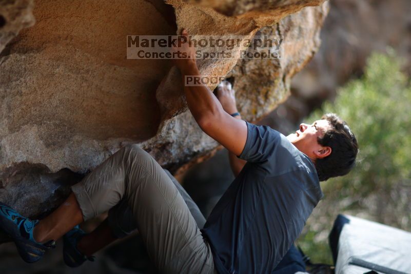 

Filename: SRM_20170703_1456510.jpg
Aperture: f/1.2
Shutter Speed: 1/2000
Body: Canon EOS-1D Mark II
Lens: Canon EF 85mm f/1.2 L II