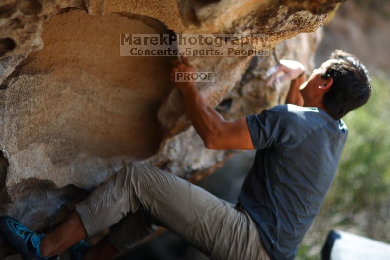 

Filename: SRM_20170703_1456512.jpg
Aperture: f/1.2
Shutter Speed: 1/1600
Body: Canon EOS-1D Mark II
Lens: Canon EF 85mm f/1.2 L II