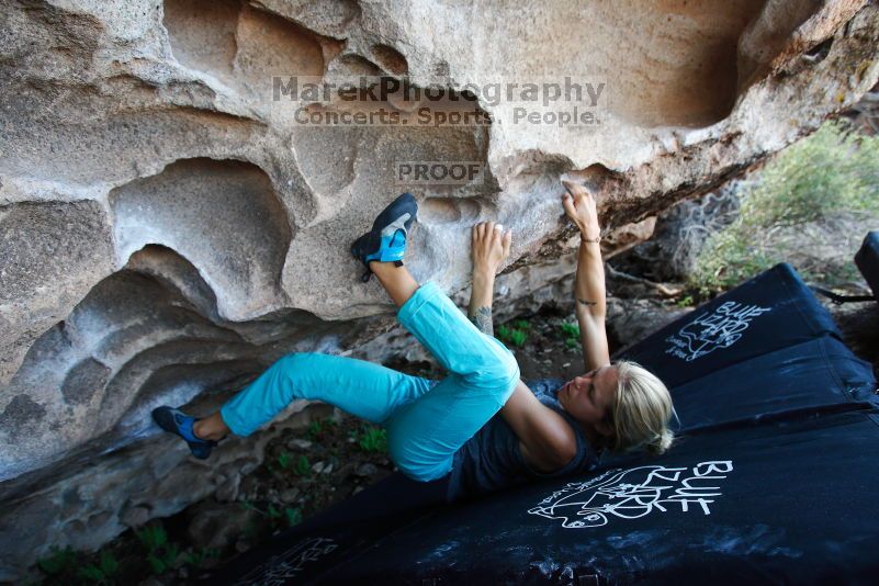 

Filename: SRM_20170703_1509343.jpg
Aperture: f/4.0
Shutter Speed: 1/320
Body: Canon EOS-1D Mark II
Lens: Canon EF 16-35mm f/2.8 L