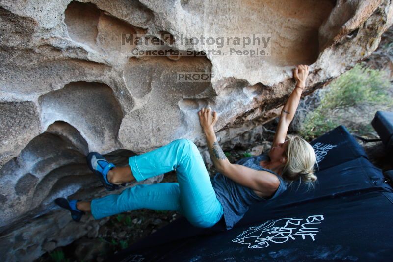 

Filename: SRM_20170703_1509410.jpg
Aperture: f/4.0
Shutter Speed: 1/400
Body: Canon EOS-1D Mark II
Lens: Canon EF 16-35mm f/2.8 L