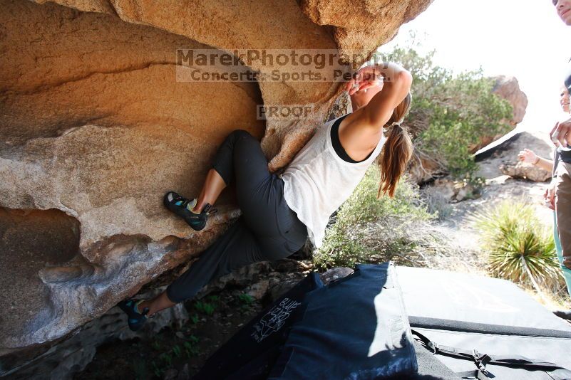 

Filename: SRM_20170703_1515442.jpg
Aperture: f/4.0
Shutter Speed: 1/1600
Body: Canon EOS-1D Mark II
Lens: Canon EF 16-35mm f/2.8 L