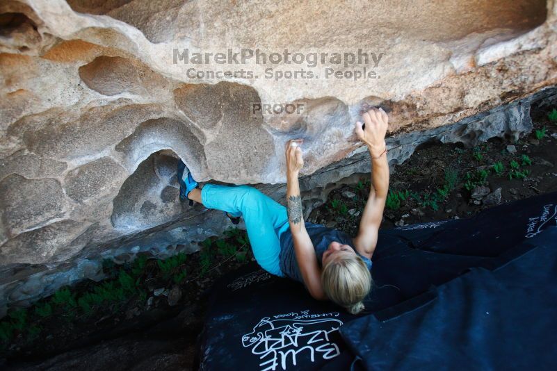 

Filename: SRM_20170703_1517152.jpg
Aperture: f/4.0
Shutter Speed: 1/320
Body: Canon EOS-1D Mark II
Lens: Canon EF 16-35mm f/2.8 L