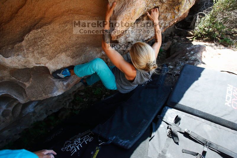 

Filename: SRM_20170703_1517300.jpg
Aperture: f/4.0
Shutter Speed: 1/1000
Body: Canon EOS-1D Mark II
Lens: Canon EF 16-35mm f/2.8 L