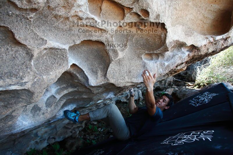 

Filename: SRM_20170703_1520342.jpg
Aperture: f/4.0
Shutter Speed: 1/250
Body: Canon EOS-1D Mark II
Lens: Canon EF 16-35mm f/2.8 L