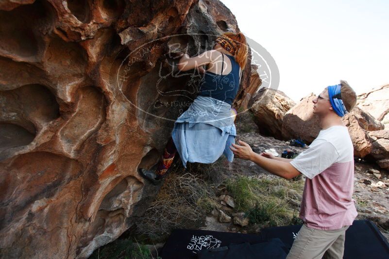 

Filename: SRM_20170705_1018490.jpg
Aperture: f/4.0
Shutter Speed: 1/1600
Body: Canon EOS-1D Mark II
Lens: Canon EF 16-35mm f/2.8 L