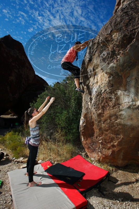 

Filename: SRM_20171020_1037090.jpg
Aperture: f/8.0
Shutter Speed: 1/250
Body: Canon EOS-1D Mark II
Lens: Canon EF 16-35mm f/2.8 L