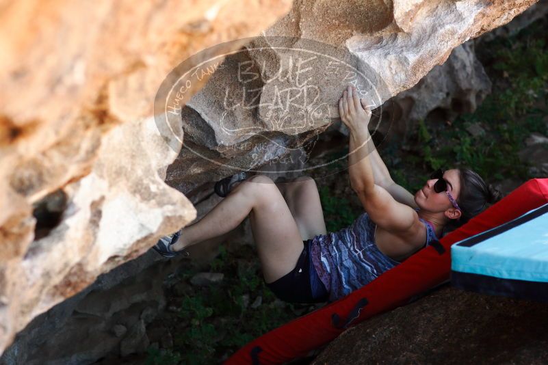 

Filename: SRM_20171020_1351534.jpg
Aperture: f/4.0
Shutter Speed: 1/250
Body: Canon EOS-1D Mark II
Lens: Canon EF 85mm f/1.2 L II