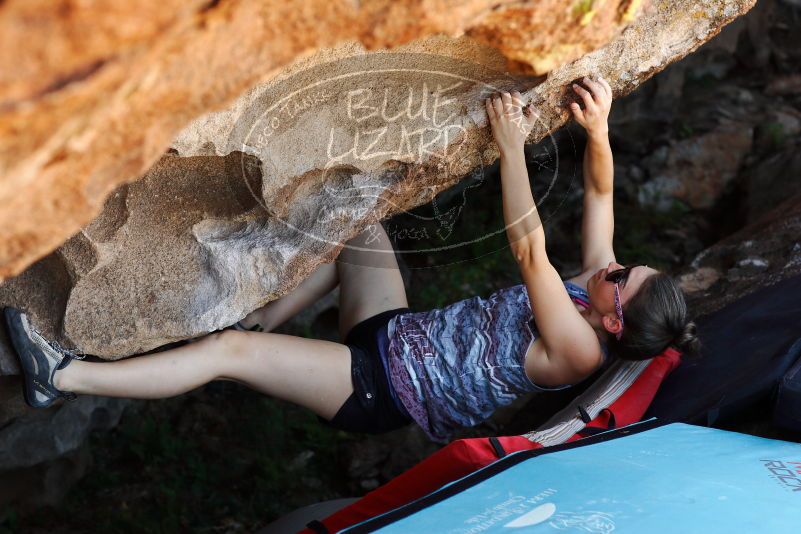 

Filename: SRM_20171020_1352181.jpg
Aperture: f/4.0
Shutter Speed: 1/400
Body: Canon EOS-1D Mark II
Lens: Canon EF 85mm f/1.2 L II