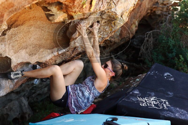 

Filename: SRM_20171020_1352361.jpg
Aperture: f/4.0
Shutter Speed: 1/500
Body: Canon EOS-1D Mark II
Lens: Canon EF 85mm f/1.2 L II