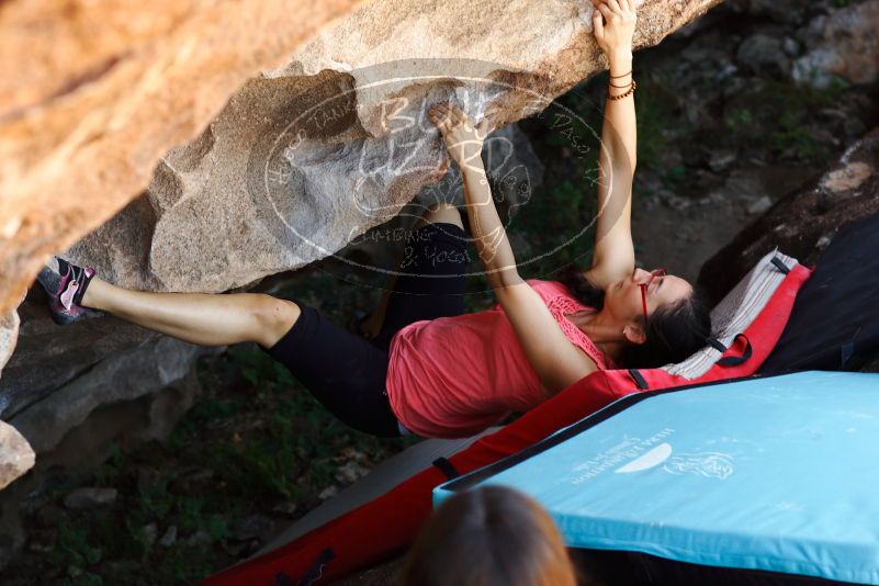 

Filename: SRM_20171020_1357261.jpg
Aperture: f/4.0
Shutter Speed: 1/320
Body: Canon EOS-1D Mark II
Lens: Canon EF 85mm f/1.2 L II