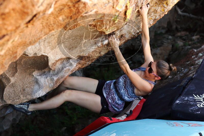 

Filename: SRM_20171020_1359443.jpg
Aperture: f/4.0
Shutter Speed: 1/400
Body: Canon EOS-1D Mark II
Lens: Canon EF 85mm f/1.2 L II